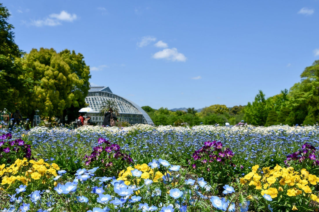 ヒーリングスポットの京都府立植物園